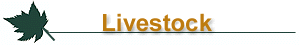 Livestock Companies in Klamath Falls, Klamath County, Sprague River, Oregon