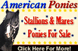 American Ponies